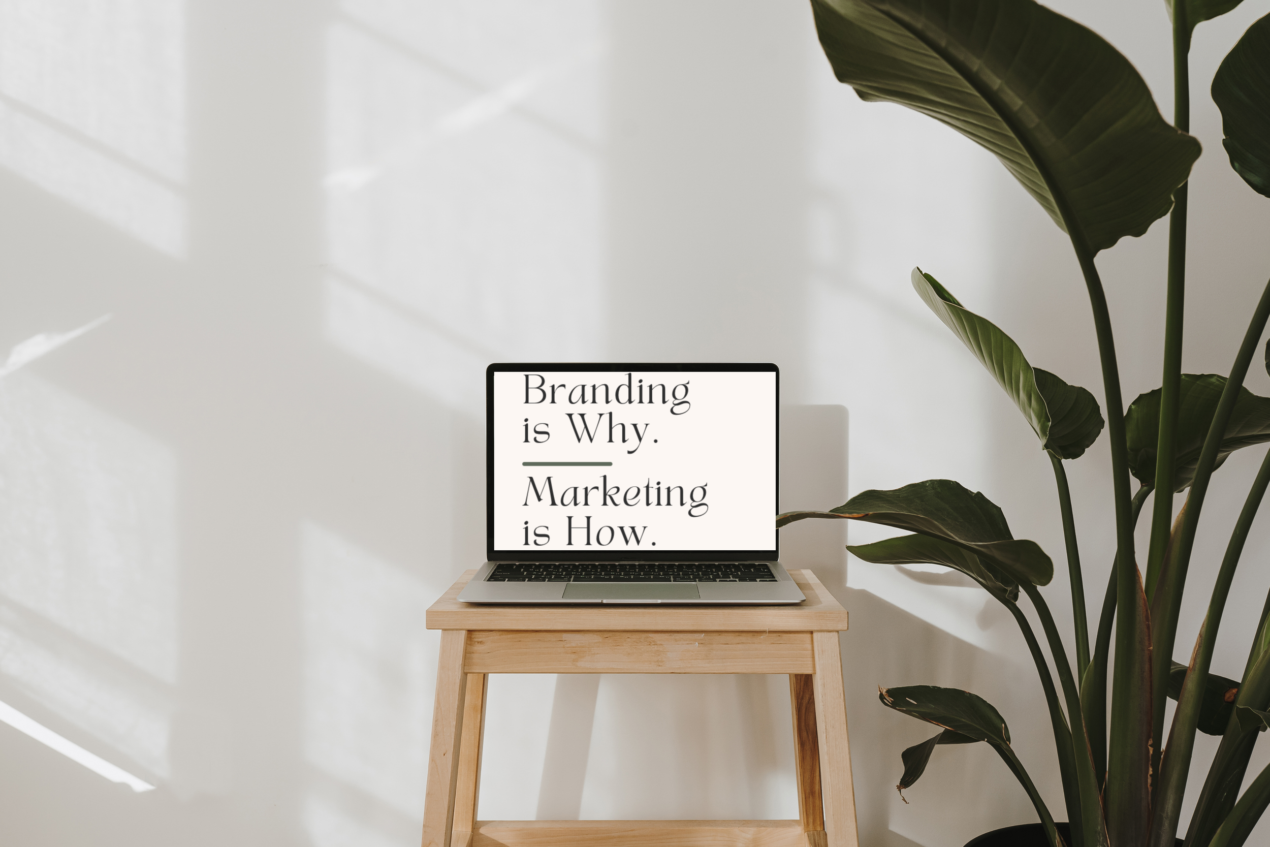 Full Service Social Media Management